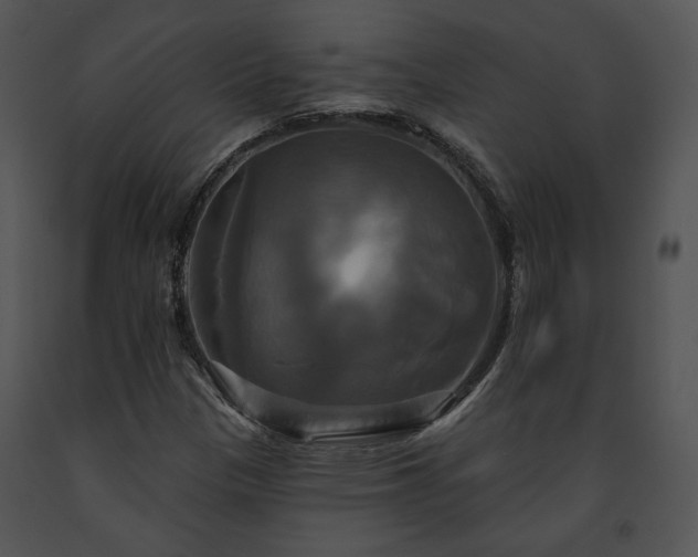 X0000091641305200708301350