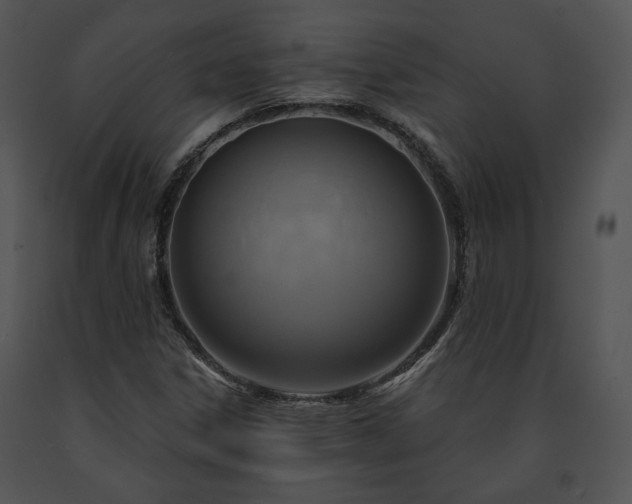 X0000091641306200708301350