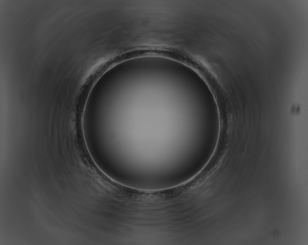 X0000091641307200708301350