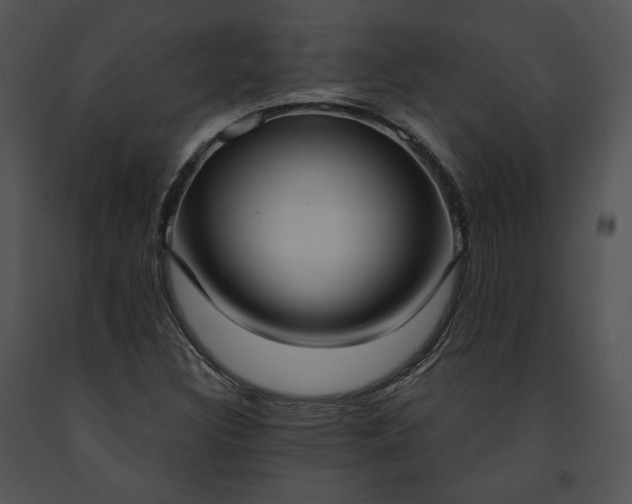 X0000091641308200708301350