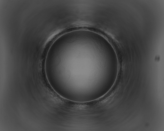 X0000091641309200708301350