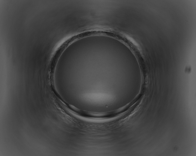 X0000091641310200708301350
