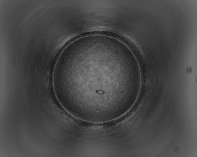 X0000091641313200708301350