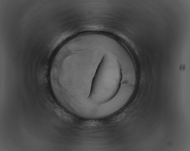 X0000091641314200708301350
