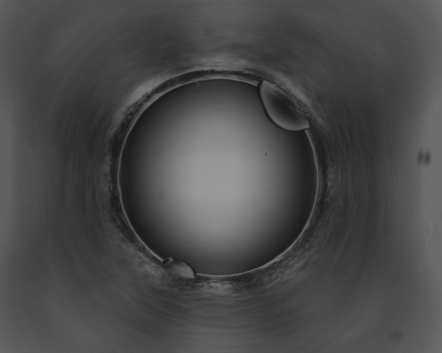 X0000091641315200708301350