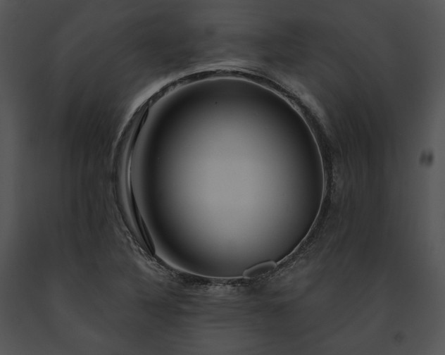 X0000091641316200708301350