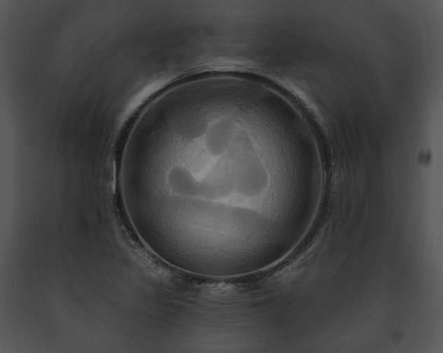 X0000091641317200708301350
