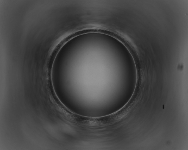 X0000091641318200708301350