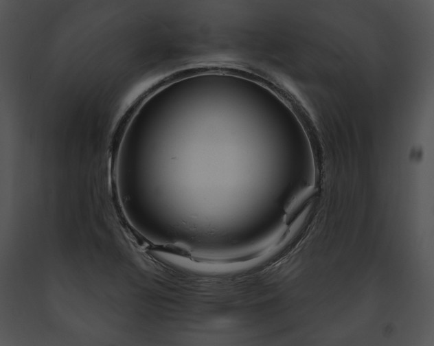 X0000091641320200708301350