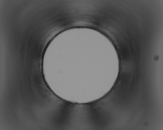 X0000091641322200708301350