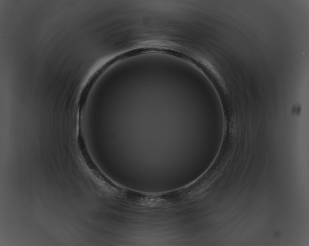 X0000091641323200708301350