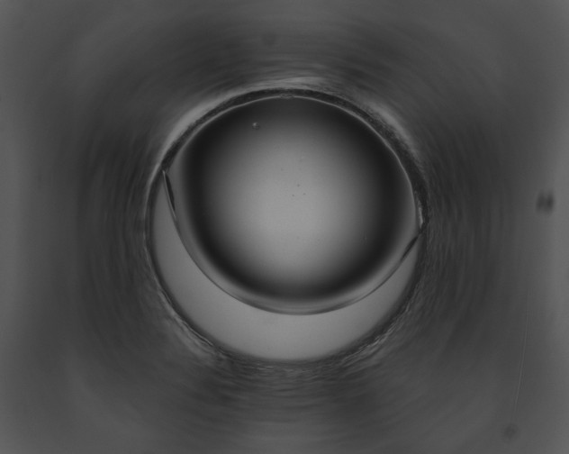 X0000091641324200708301350