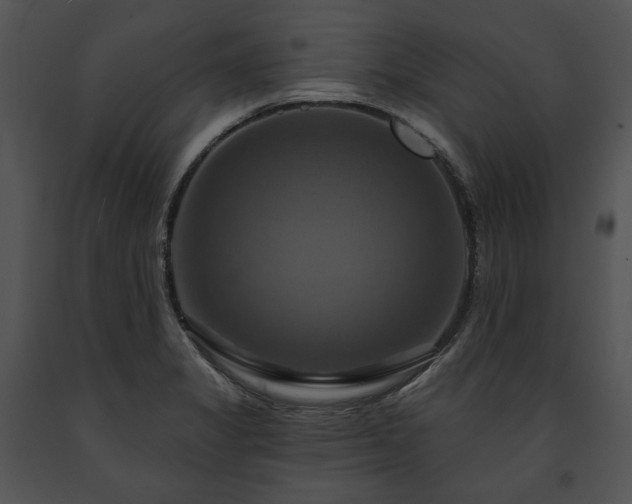 X0000091641325200708301350