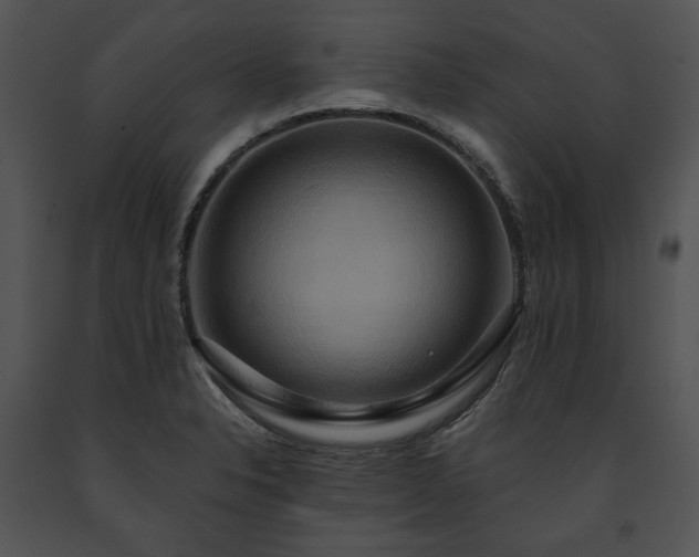 X0000091641326200708301350