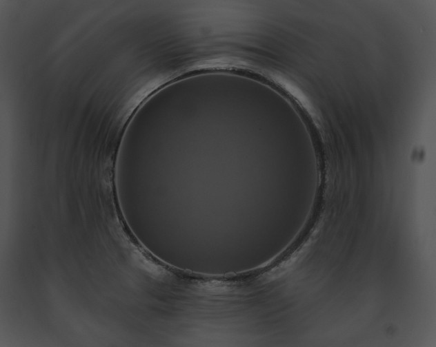 X0000091641329200708301351