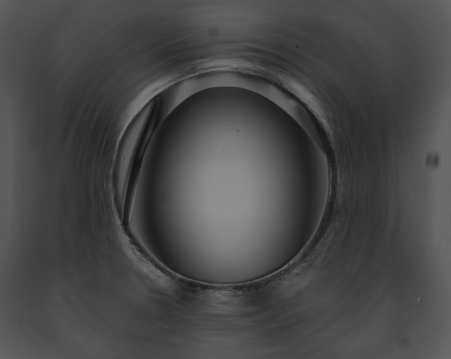 X0000091641330200708301351