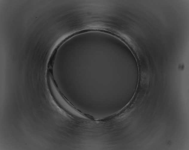 X0000091641331200708301351