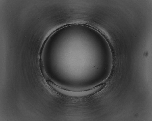 X0000091641332200708301351