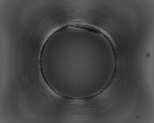 X0000091641333200708301351