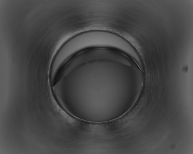 X0000091641334200708301351
