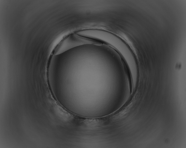 X0000091641336200708301351