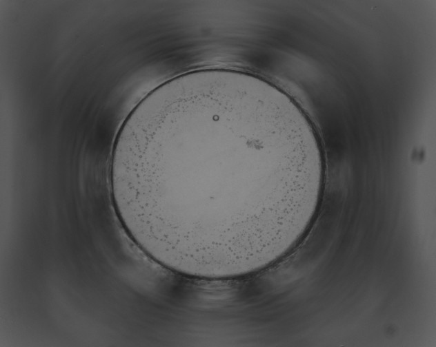 X0000091641338200708301351
