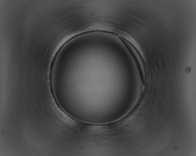 X0000091641339200708301351
