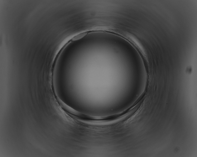 X0000091641340200708301351