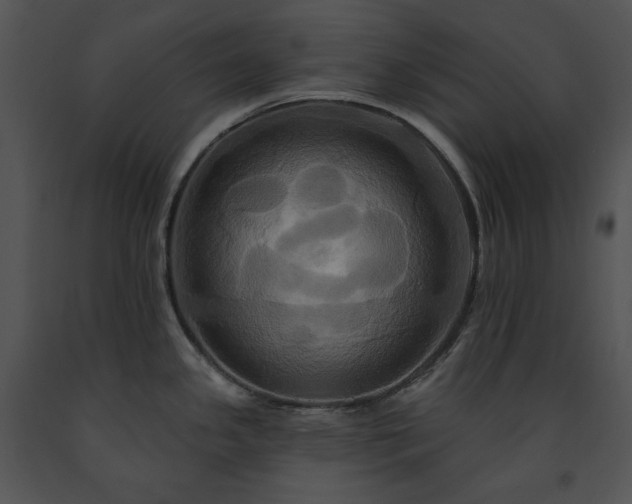 X0000091641341200708301351