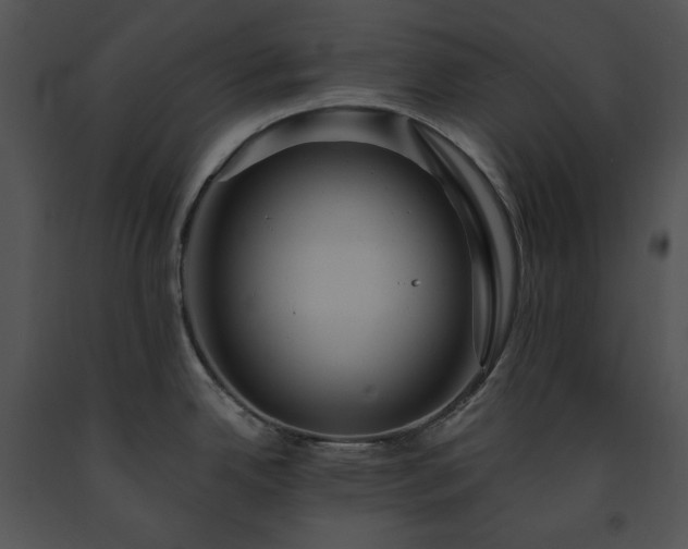 X0000091641342200708301351