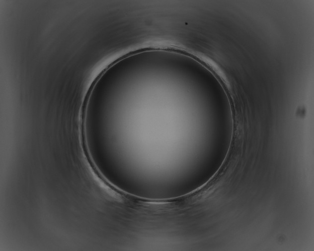 X0000091641343200708301351
