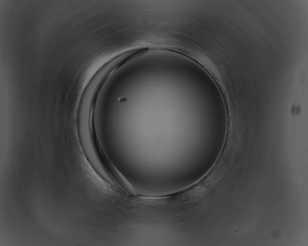 X0000091641344200708301351