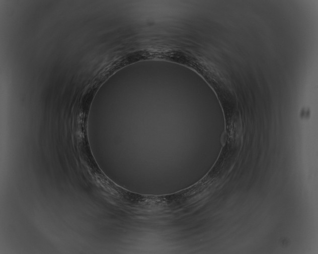 X0000091641346200708301350