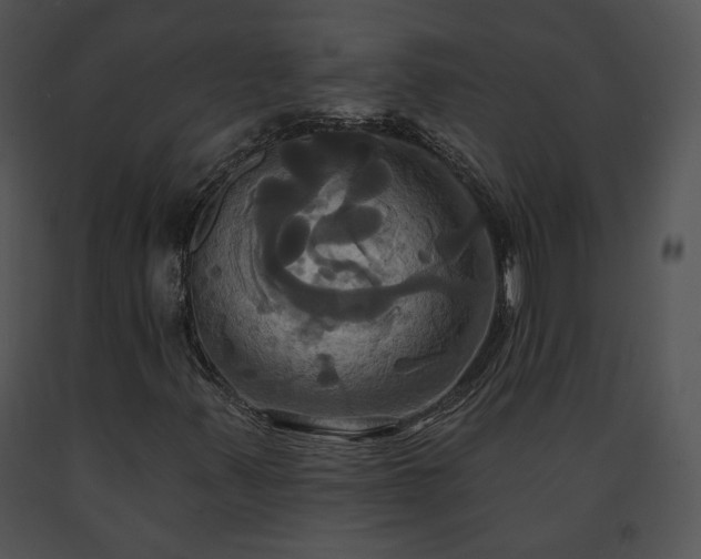 X0000091641347200708301350