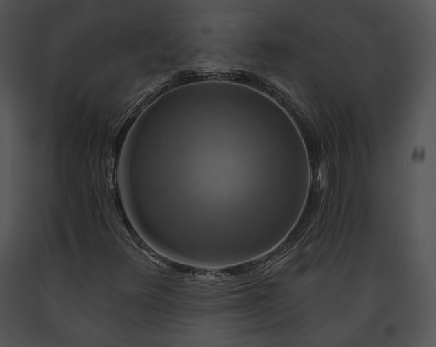 X0000091641348200708301350