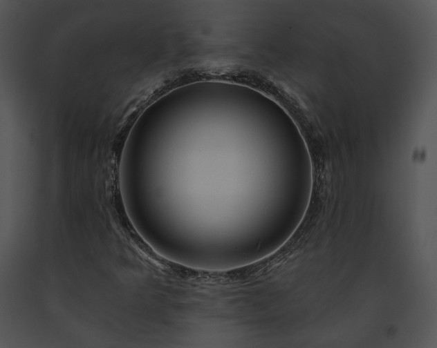 X0000091641349200708301350