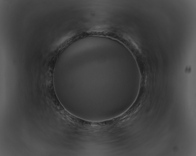 X0000091641350200708301350