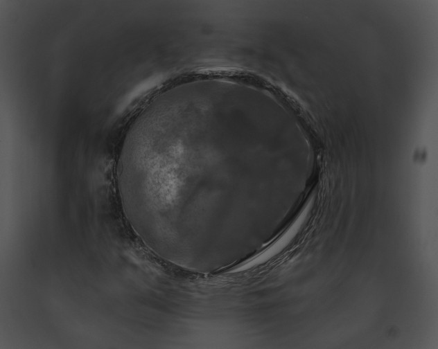 X0000091641351200708301350