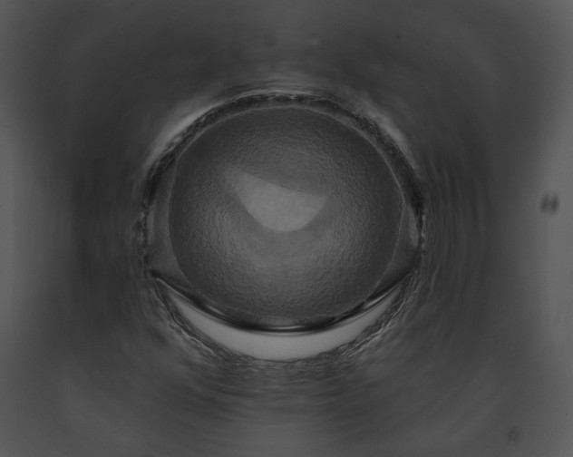 X0000091641352200708301350