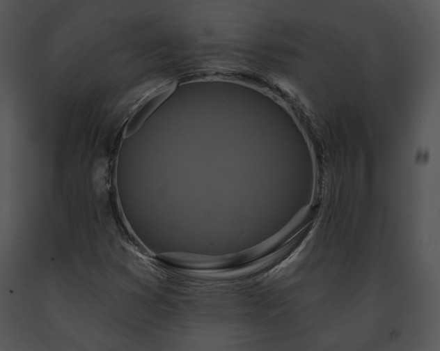 X0000091641353200708301350