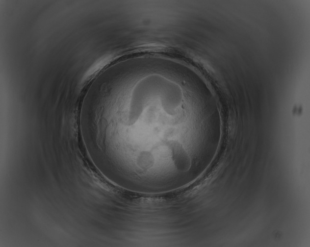 X0000091641354200708301350