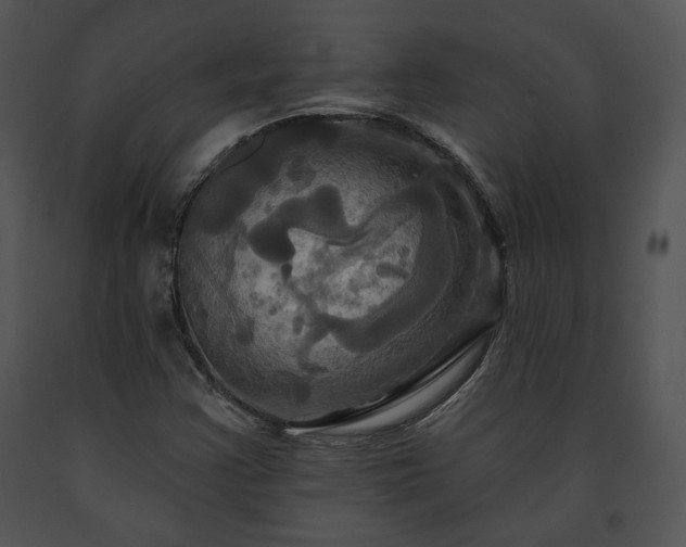 X0000091641355200708301350