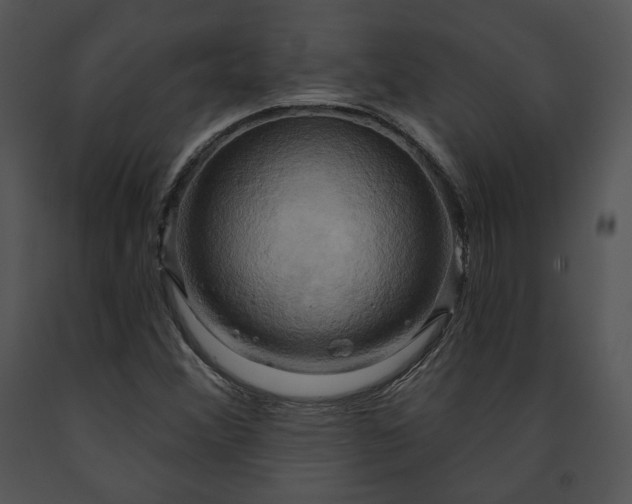 X0000091641356200708301350