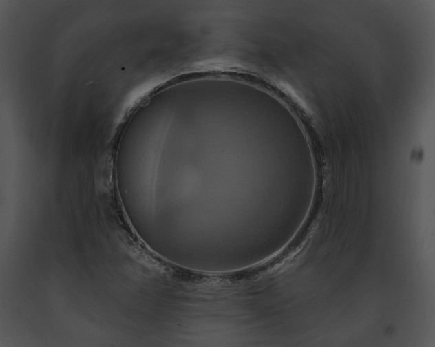 X0000091641358200708301350