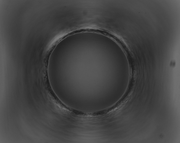 X0000091641359200708301350