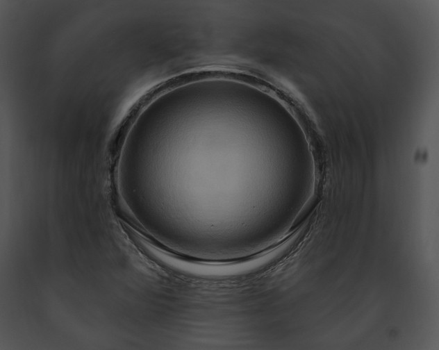 X0000091641360200708301350