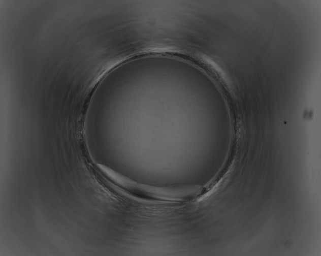 X0000091641361200708301350