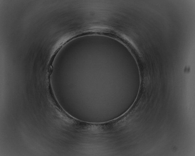 X0000091641362200708301350