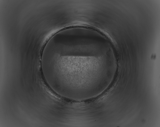 X0000091641363200708301350