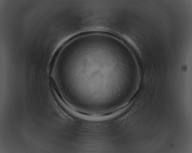 X0000091641364200708301350